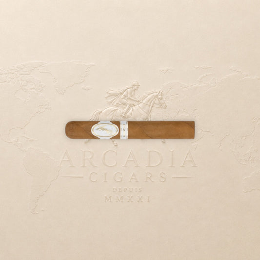 Davidoff Signature Toro Vintage 2023 Single
