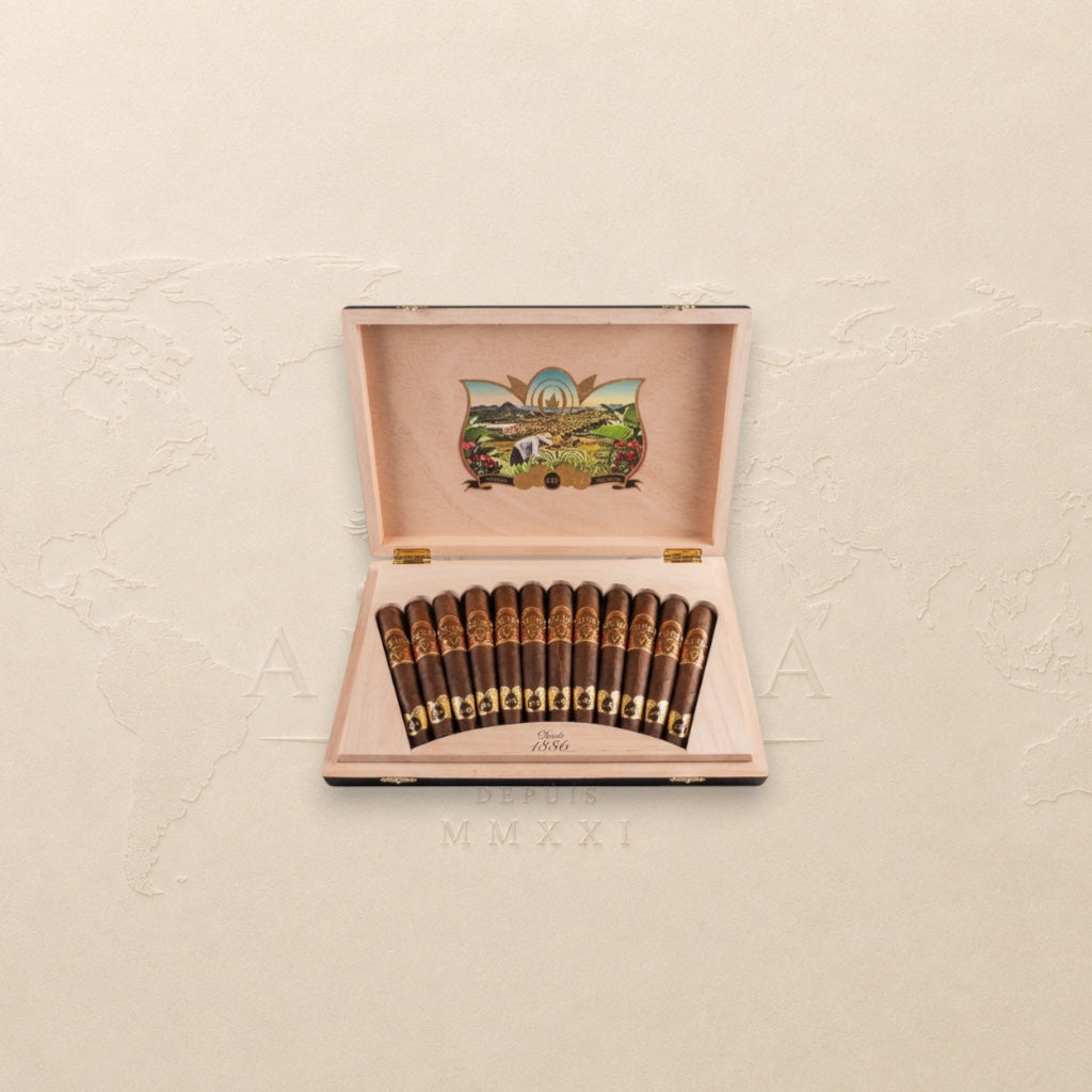 Oliva Serie V 135th Anniversary Edición Limitada Oliva Cigars
