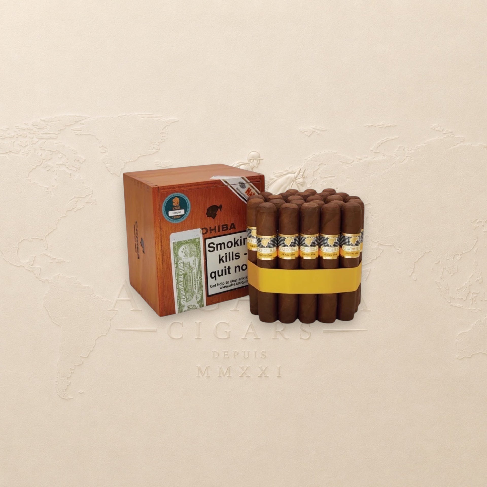 Cohiba Robustos Habanos