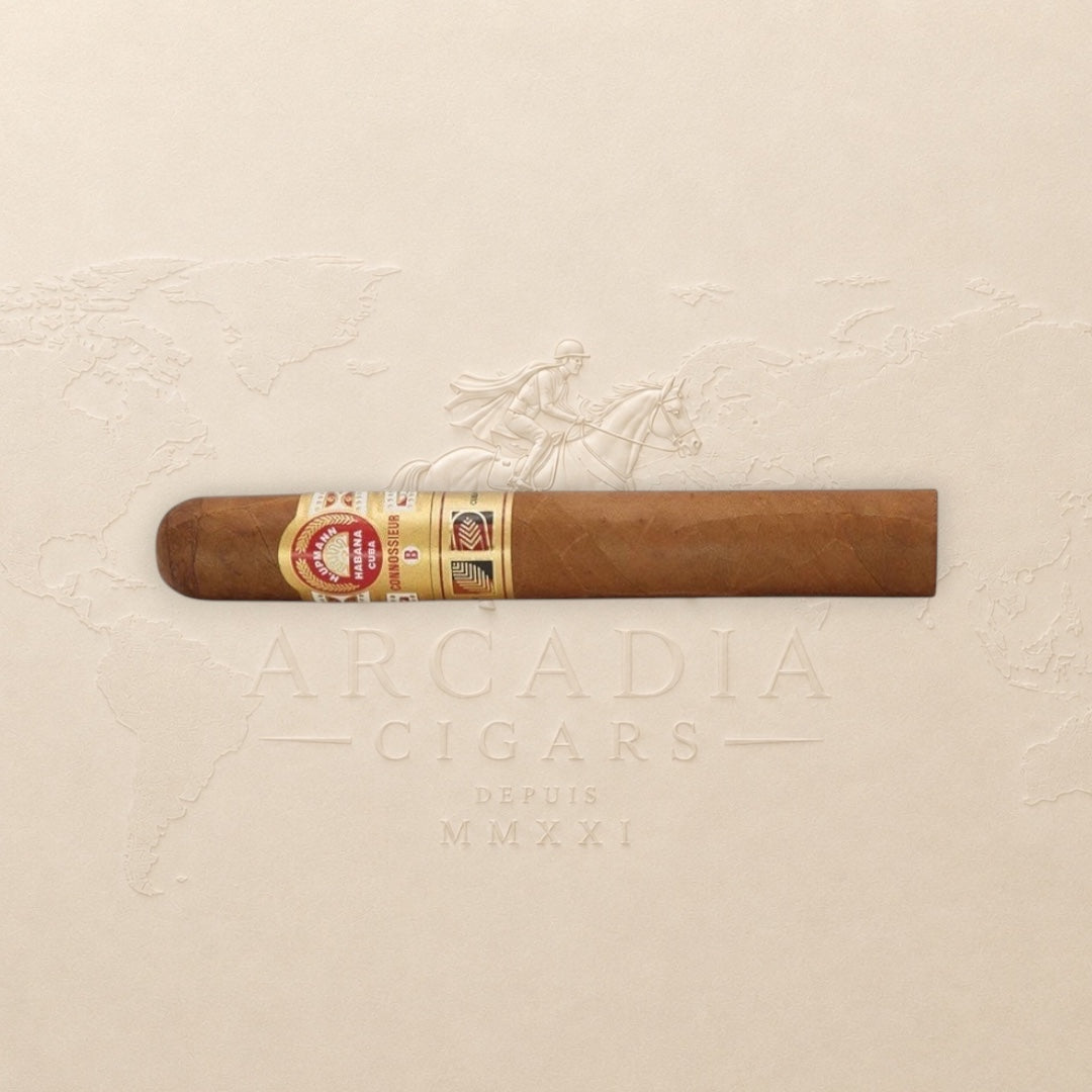 H. Upmann Connossieur B -  LCDH Exclusive
