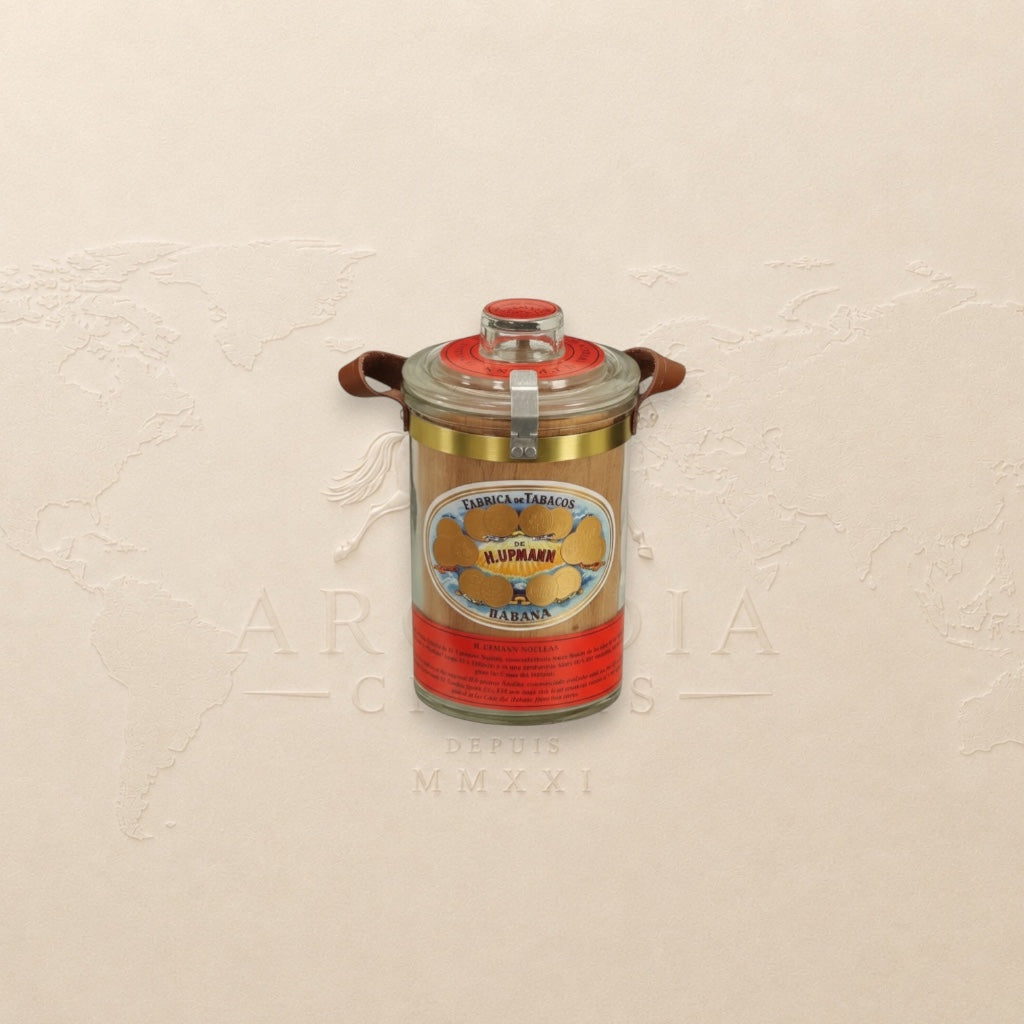 Arcadia Cigars H. Upmann Noellas cigar jar, La Casa del Habano exclusive, glass with leather straps, 25 cigars.