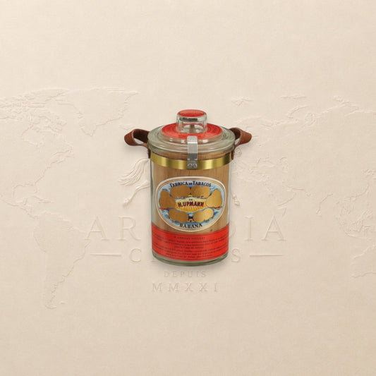 Arcadia Cigars H. Upmann Noellas cigar jar, La Casa del Habano exclusive, glass with leather straps, 25 cigars.